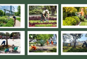 OS INVISÍVEIS ESSENCIAIS: O JARDINEIRO QUE AJUDA A PRESERVAR O MEIO AMBIENTE URBANO