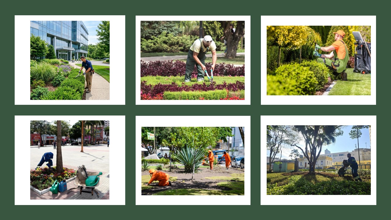 OS INVISÍVEIS ESSENCIAIS: O JARDINEIRO QUE AJUDA A PRESERVAR O MEIO AMBIENTE URBANO